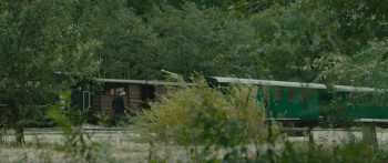 Duel in trei (2024) download